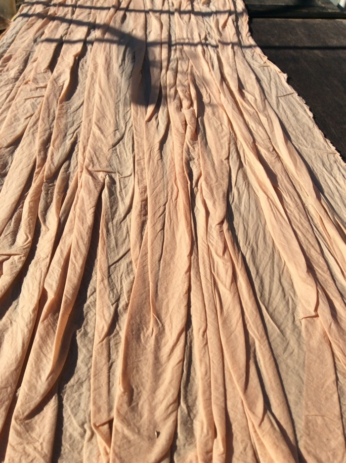 今日も陽射しがいっぱいなので