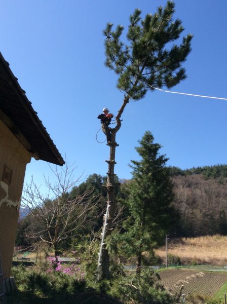 駒ヶ根  伊那谷暮らし  〈4月19日〜 28日 〉