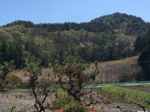 伊那谷暮らし  日々のこと  Vol.1.