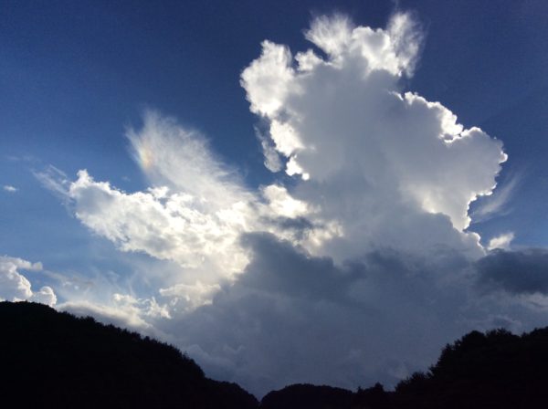 伊那谷暮らし 日々のこと  Vol.5