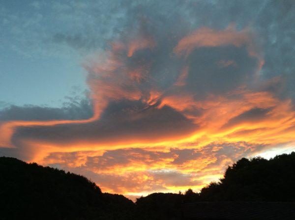 伊那谷暮らし日々のこと10月  Vol.8